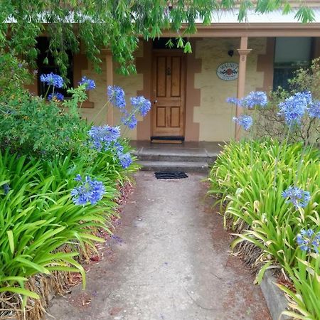 Walnut Cottage Angaston Εξωτερικό φωτογραφία