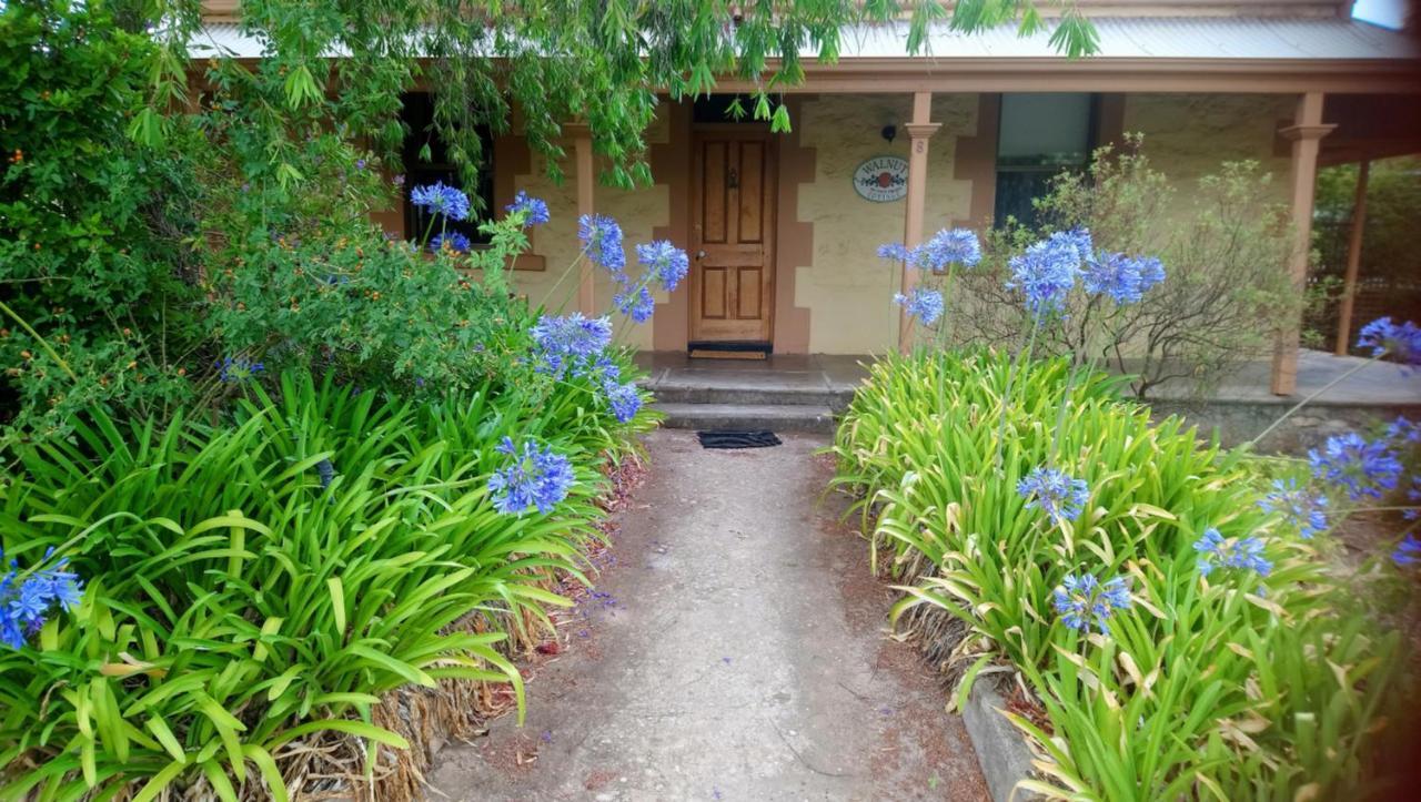 Walnut Cottage Angaston Εξωτερικό φωτογραφία