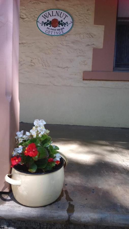 Walnut Cottage Angaston Εξωτερικό φωτογραφία