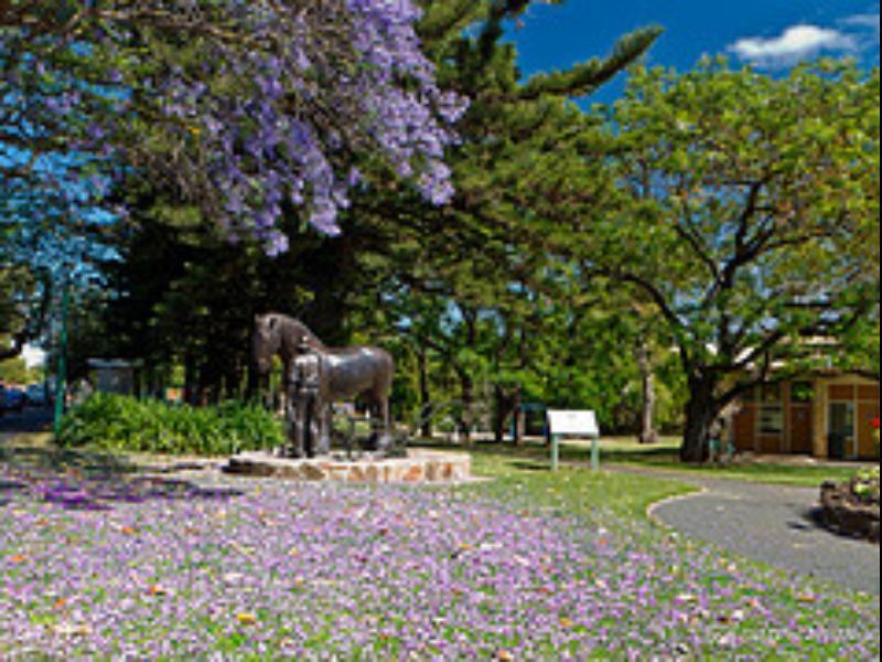 Walnut Cottage Angaston Εξωτερικό φωτογραφία