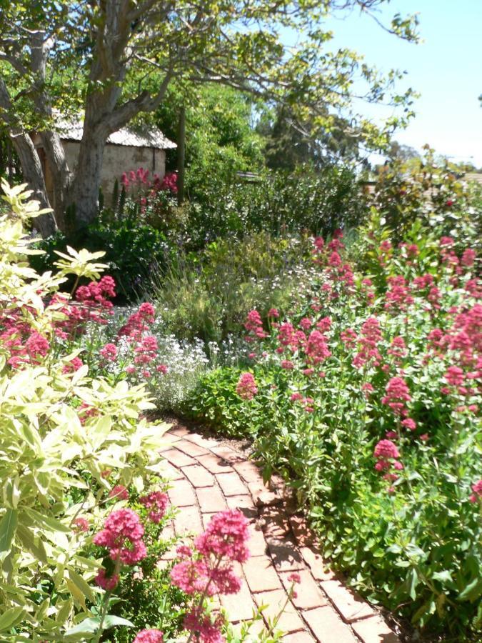 Walnut Cottage Angaston Δωμάτιο φωτογραφία
